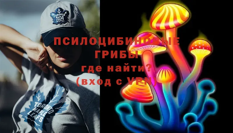 Галлюциногенные грибы Psilocybe  Белоусово 